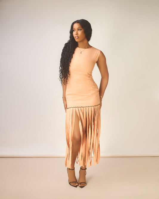 Fringe Dress